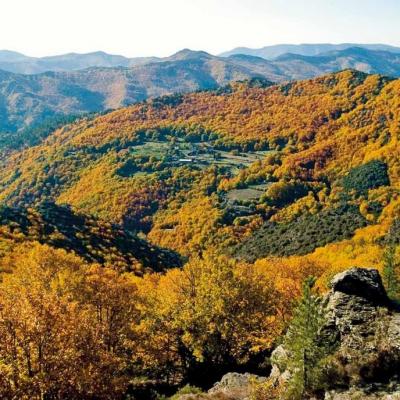 Paysage automnal