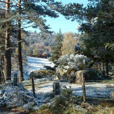 Un jour de neige