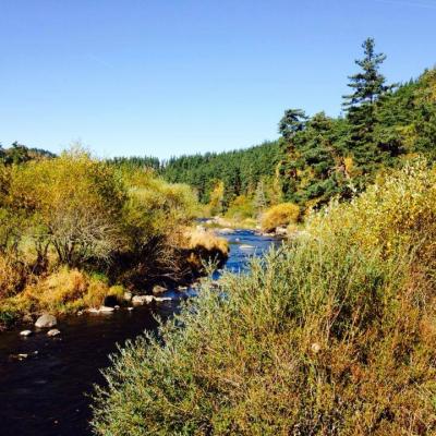 Rivière dans le Parc national des Cévennes