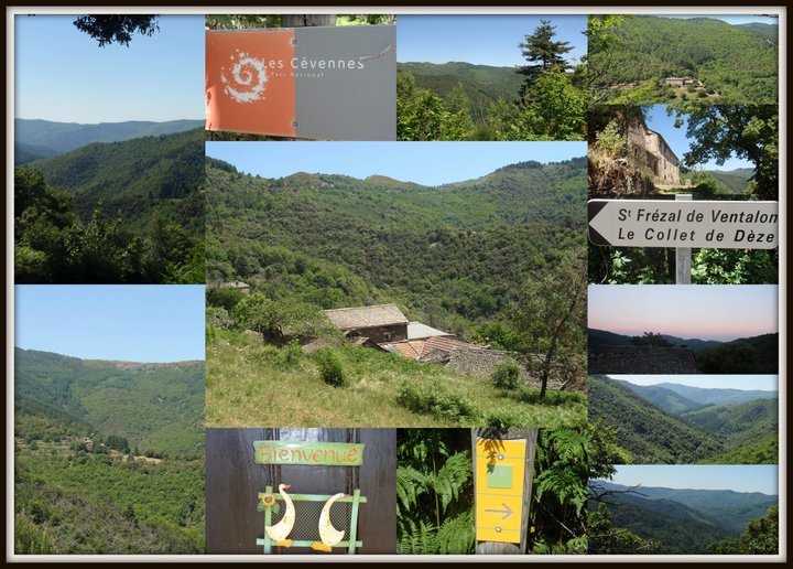 Le Parc National Des Cévennes