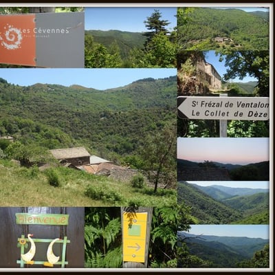 Le Parc National Des Cévennes