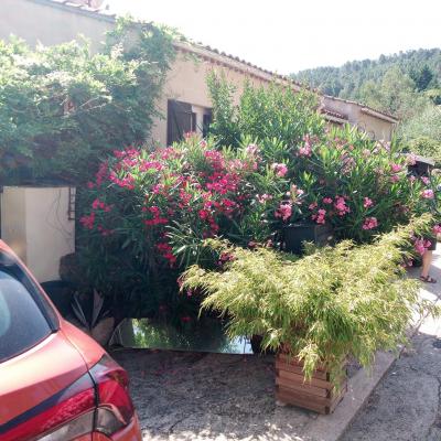 Entrée fleurie et parking du gîte