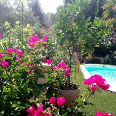 Piscine fleurie au cœur du jardin