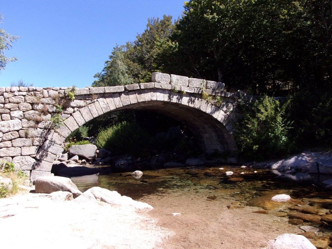 A proximité du mas Camargues