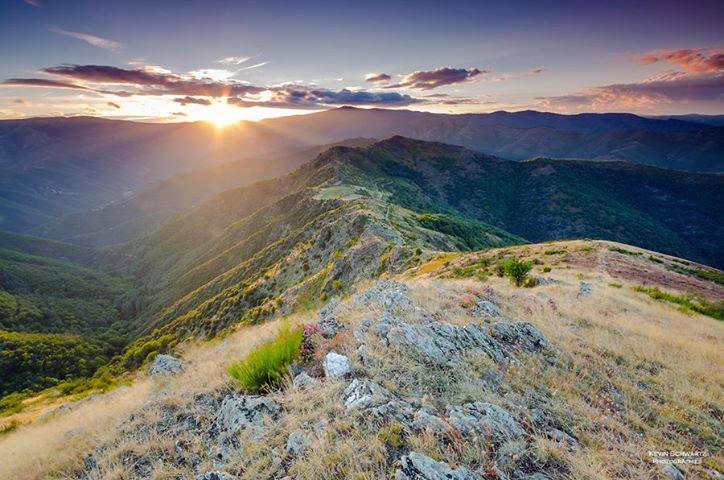 Balade en Cévennes