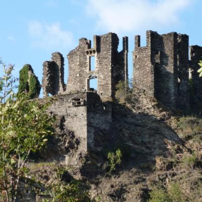 Château de Saint-Julien-d'Arpaon