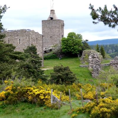 Château du Luc