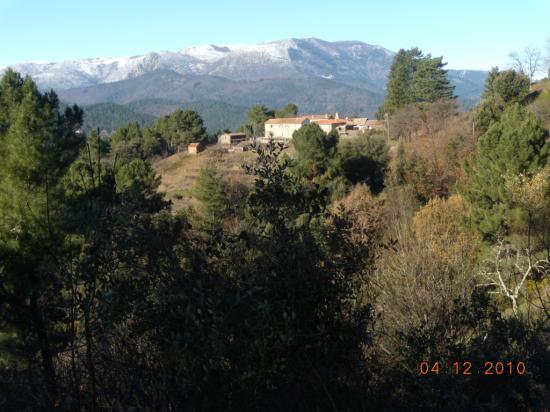 Mont Lozère vu de Chamborigaud