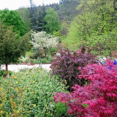 Jardin 