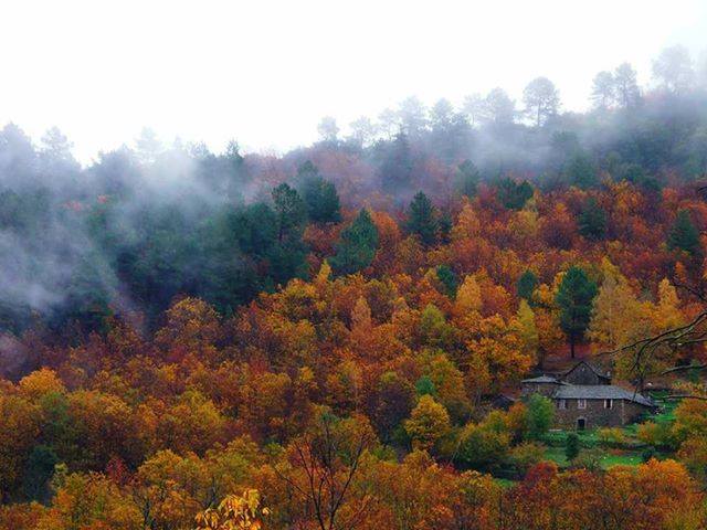 L'automne dans les Cévennes et sa vue sur le village de Gabriac