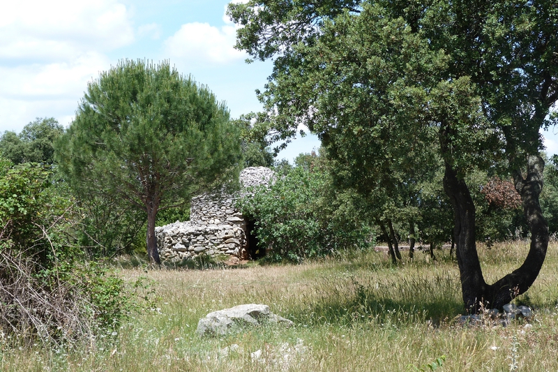 les capitelles