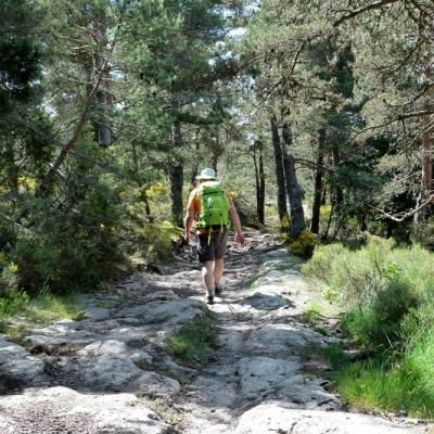 Randonnée sur la voie Régordane – GR700