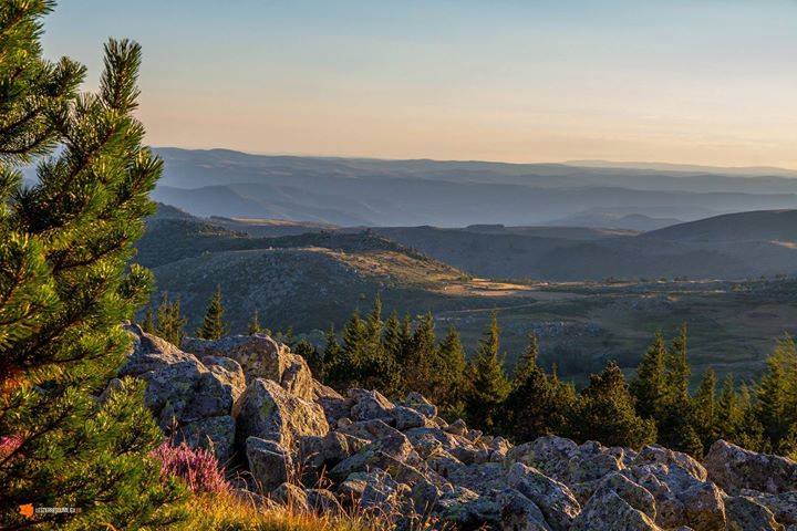 Souvenir d'un bivouac sur le Mont Lozère