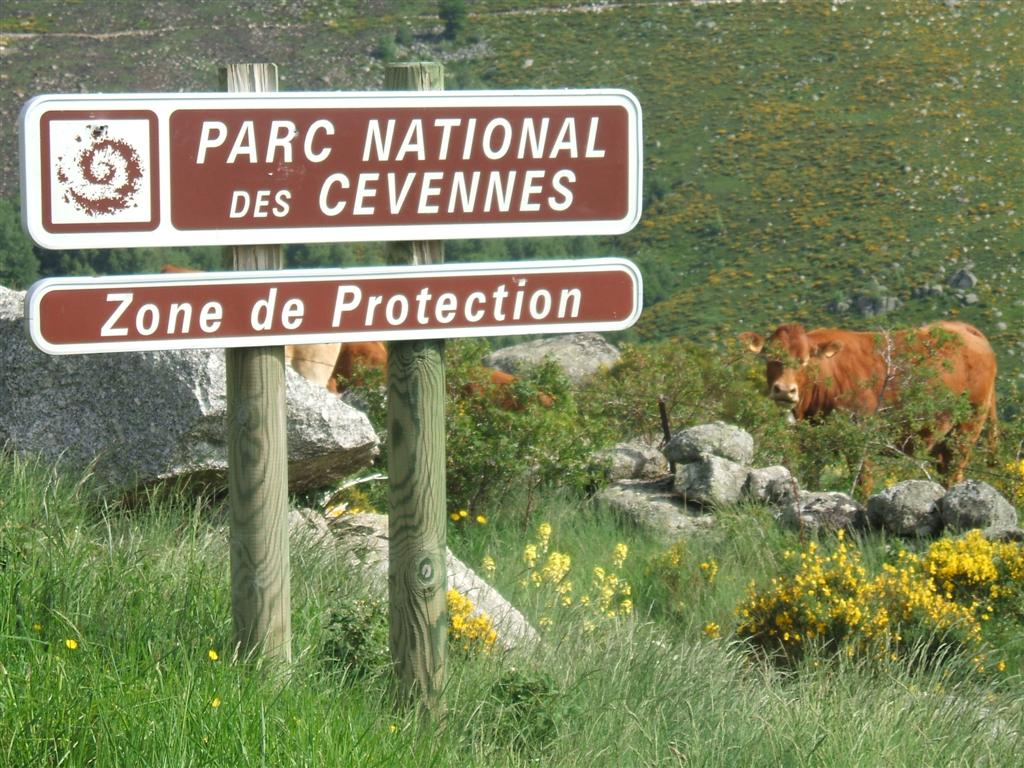 Parc national des Cévennes