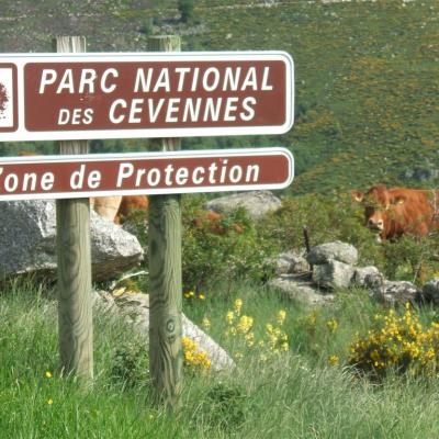 Parc national des Cévennes