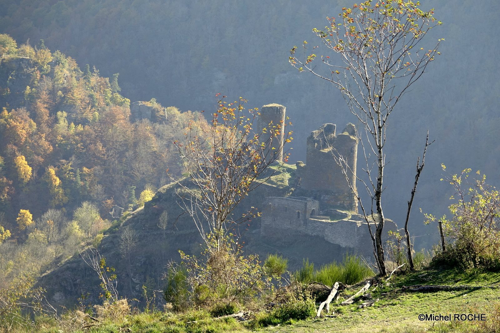 Chateau du tournel